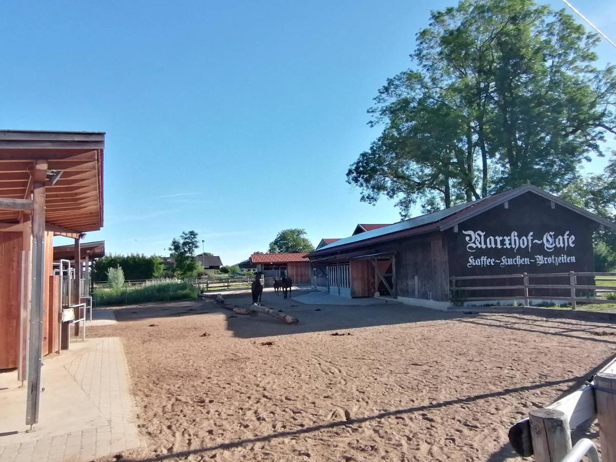 Tiny X Im Marxhof Seebruck Am Chiemsee Seeon-Seebruck Exteriör bild