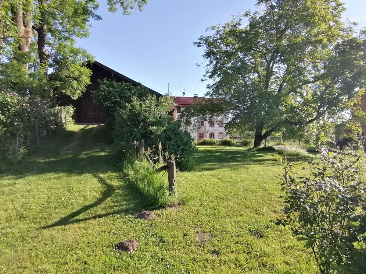Tiny X Im Marxhof Seebruck Am Chiemsee Seeon-Seebruck Exteriör bild