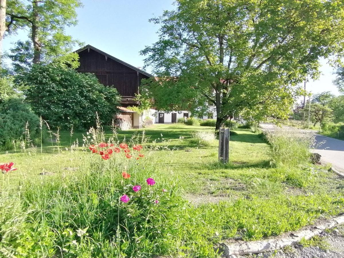 Tiny X Im Marxhof Seebruck Am Chiemsee Seeon-Seebruck Exteriör bild